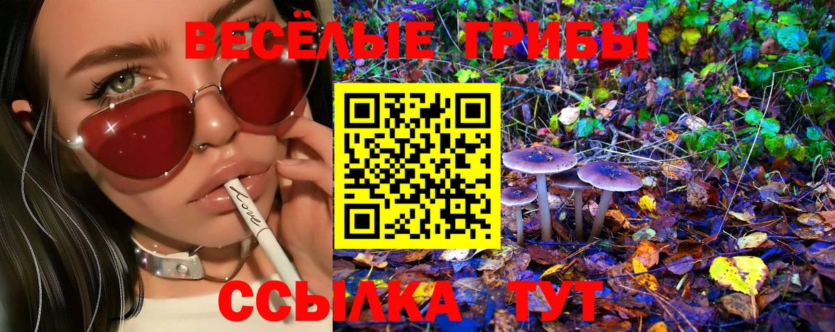 Галлюциногенные грибы прущие грибы Аксай