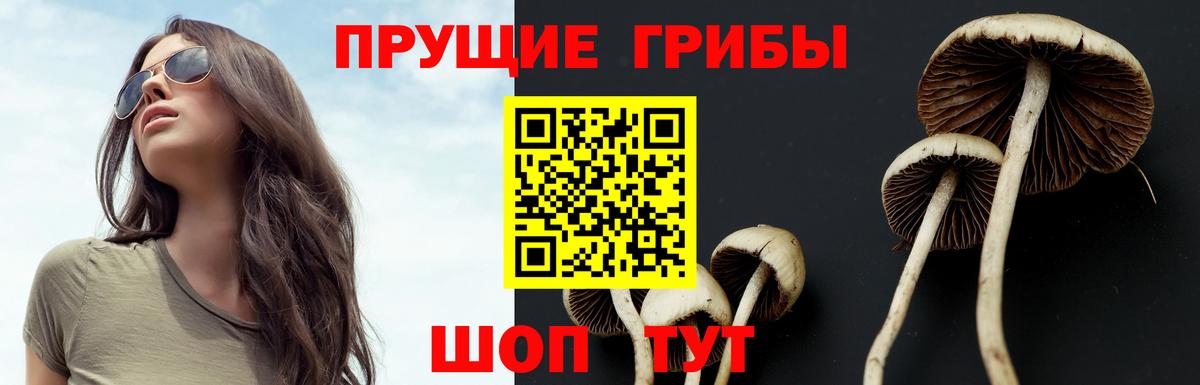 где купить   Псилоцибиновые грибы ЛСД  Галлюциногенные грибы Magic Shrooms  Вход с VPN  Аксай 
